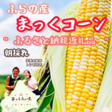 【先行受付】【8月より順次発送】北海道　富良野産　まっくコーン(スイートコーン)10本+1本付き!