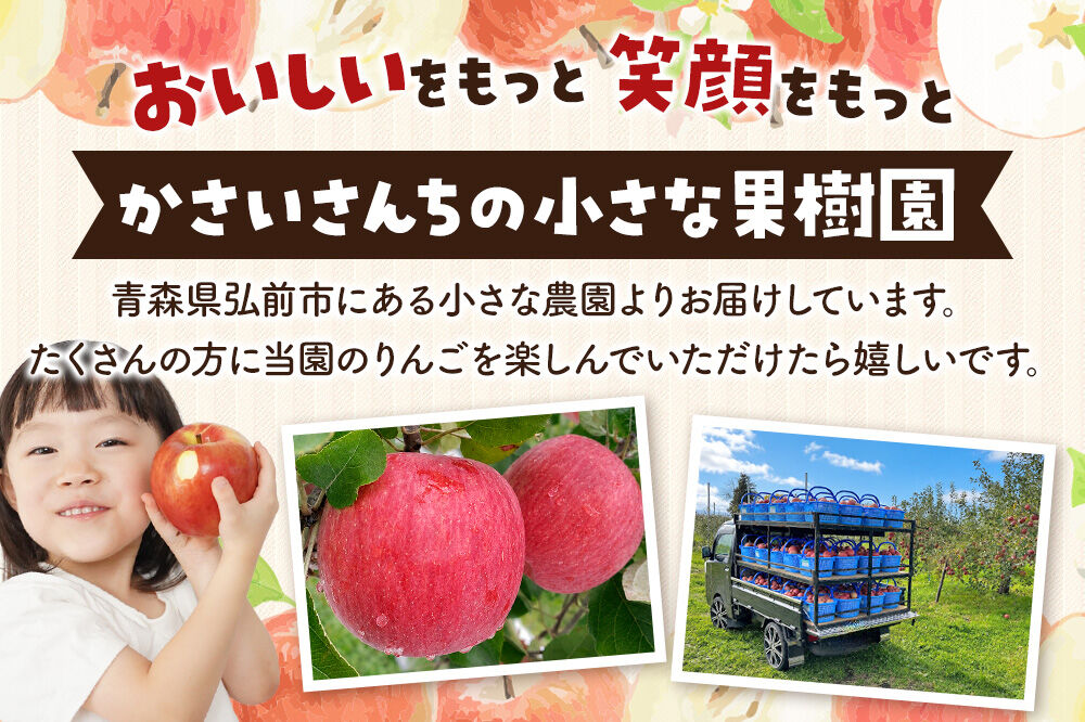 【26年11月下旬～発送】りんご サンふじ 約5kg【家庭用】林檎 リンゴ 果物 くだもの フルーツ 青森 [アップル おいしい 果実 果物 赤色 美味]
