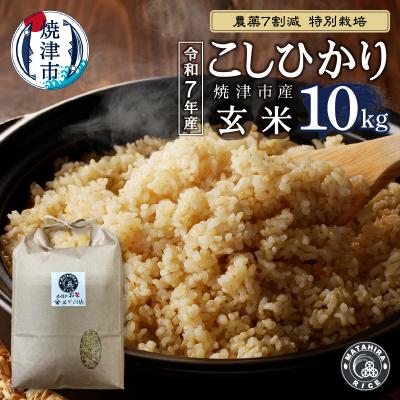 ふるさと納税 焼津市 令和7年産 特別栽培 コシヒカリ 玄米 10kg(5kg×2袋)(a26-037)