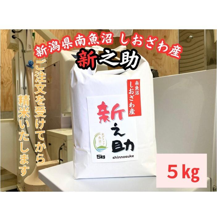 【ふるさと納税】新潟県南魚沼産　新之助　5kg　大粒でツヤがあるこれまでにないお米 | お米 こめ 白米 新之助 食品 人気 おすすめ 送料無料 魚沼 南魚沼 南魚沼市 新潟県産 新潟県 精米 産直 産地直送 お取り寄せ
