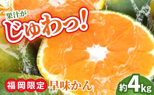 【2026年9月中旬より順次発送】【福岡限定】オリジナルブランド 早味かん 約4kg 吉富町/南国フルーツ株式会社 [BGAG014] 果物 くだもの フルーツ みかん ミカン 蜜柑 オレンジ 旬 柑橘 福岡県