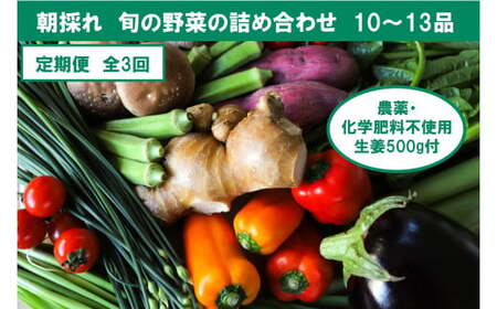 【3回定期便】栽培期間中に農薬不使用の生姜200gと旬の野菜詰め合わせ10〜13品目 野菜 野菜セット 詰め合わせ しょうが ショウガ 旬 新鮮 朝どれ 取り寄せ【株式会社SIMA】 [BQAZ006]