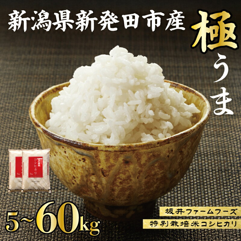 【ふるさと納税】 R7年産 コシヒカリ 5～60kg 単品 定期便 3回 6回 5kg 10kg 15kg 30kg 60kg 新潟県産 特別栽培米 お米 米 こしひかり 新潟米 新潟 新発田産 精米 玄米 対応可 送料無料 ふるさと納税米定期便 ふるさと納税お米定期便 坂井ファーム とんとん市場 せいだ