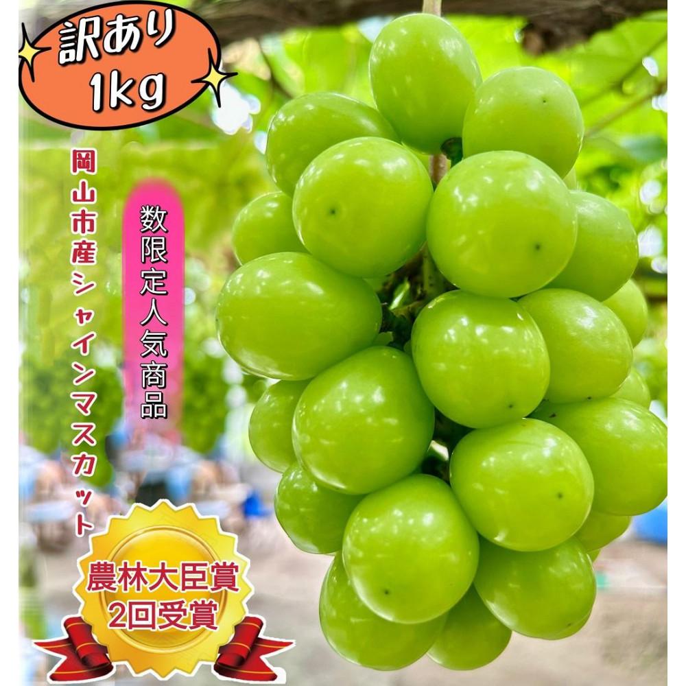 【ふるさと納税】ぶどう 2026年 家庭用 シャインマスカット 約1kg | フルーツ 果物 くだもの シャインマスカット マスカット 訳あり 岡山県産 岡山 2026年7月中旬から発送