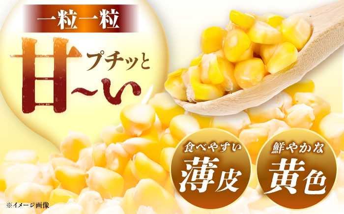 ＜2025年7月～発送／先行予約＞とうもろこし 恵味ゴールド 約5kg(梱包込) / 野菜 やさい コーン / 恵那市 / 大島農園 [AUEH001]