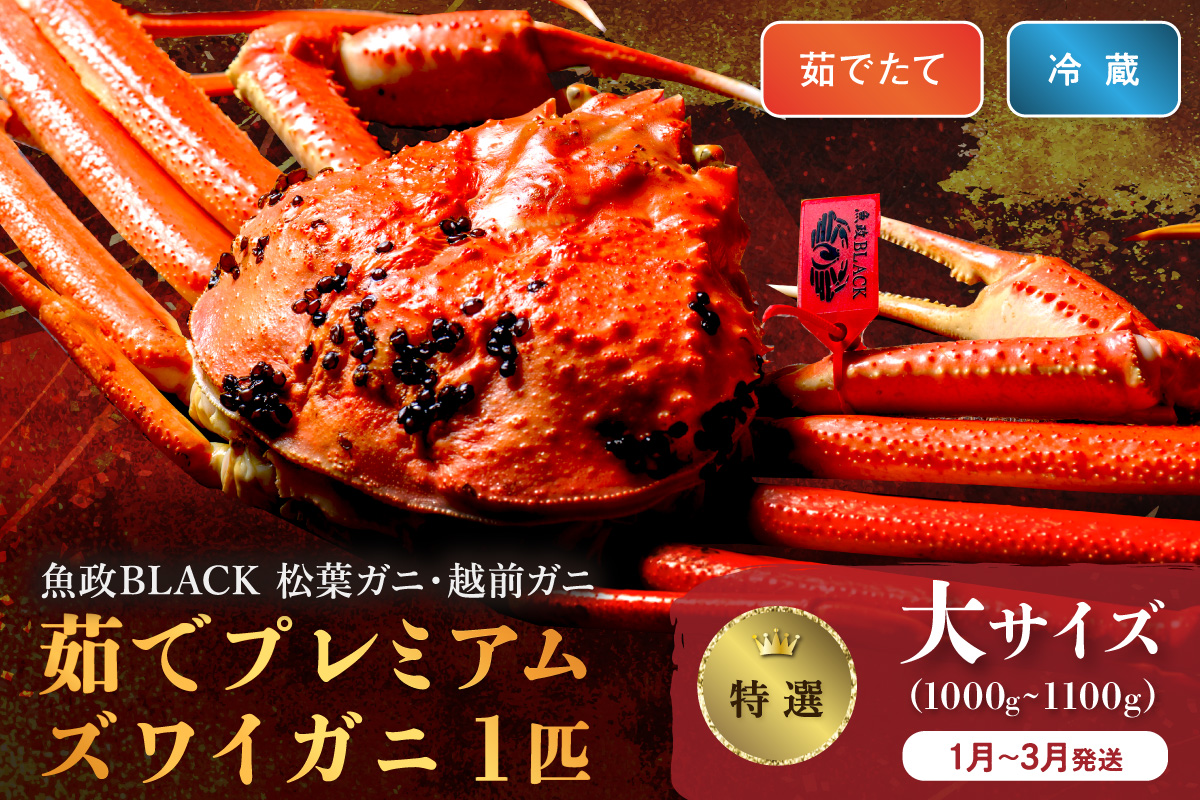 【蟹の匠 魚政】茹で　プレミアムズワイガニ 魚政BLACK（松葉ガニ・越前ガニ）特撰 大サイズ（1000～1100g） 1匹(1月～3月発送） 松葉蟹 蟹 かに カニ ガニ がに ボイル まるごと 海産物 海鮮 魚介 魚介類 甲殻類 海の幸 小 京都 京丹後 京丹後市 ふるさと納税 蟹 送料無料　UO01299