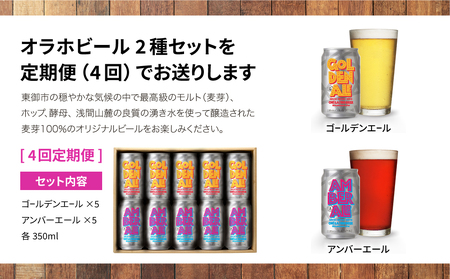 ゴールデンエール＆アンバーエール 10本定期便（4回） クラフトビール 飲み比べ