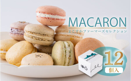 マカロン12個セット[AKGS002]マカロン