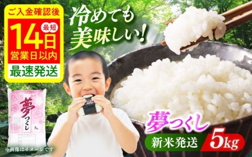 【令和7年度産】福岡県産  夢つくし 5kg 精米《築上町》【有限会社ファインリョーコク】 [ABCO021] ふるさと納税 ごはん 米 お米 白米 こめ コメ ブランド米 精米 国産 新生活 お祝い ギフト 仕送り 仕送りしおくり シオクリ siokuri 新生活 一人暮らし ひとりぐらし