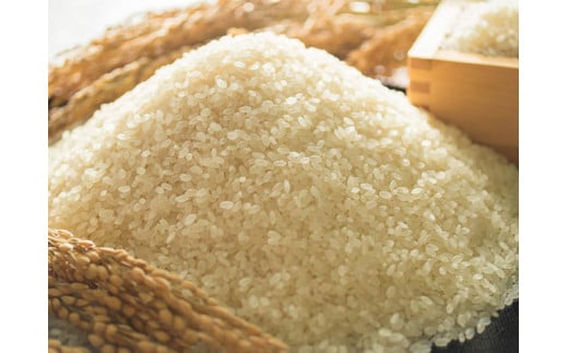 
            定期便 福岡県大川市産ヒノヒカリ（2025年秋収穫のお米）10kg×12回 定期コース（全12回のお届け） | 米 お米 こめ 白米 精米 120キロ 食品 ライス 令和7年 美味しい おいしい ご飯 ごはん 人気 おすすめ 送料無料 ふるさと納税 定期配送
          