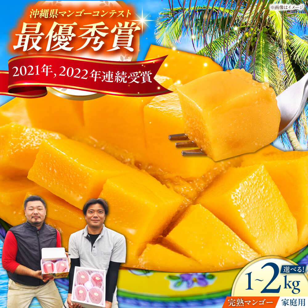 【ふるさと納税】【家庭用】仲村農園の完熟アップルマンゴー (1kg or 2kg) マンゴー 沖縄 果物 フルーツ ギフト 沖縄市 / 仲村農園