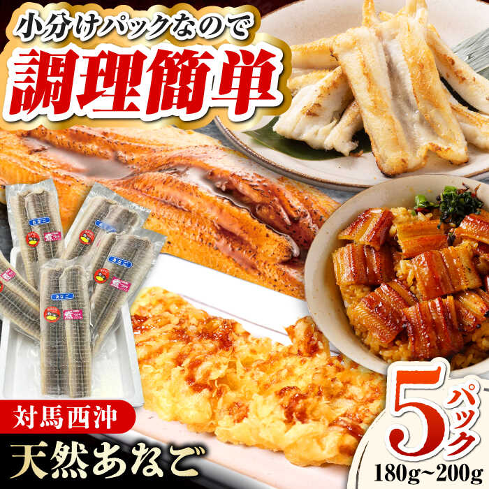 【ふるさと納税】対馬産　あなご　天ぷら・煮付用　5パック　《対馬市》【対馬新鮮組】　冷凍配送　小分け　アナゴ　新鮮　海鮮　冷凍 簡単調理[WCS011]