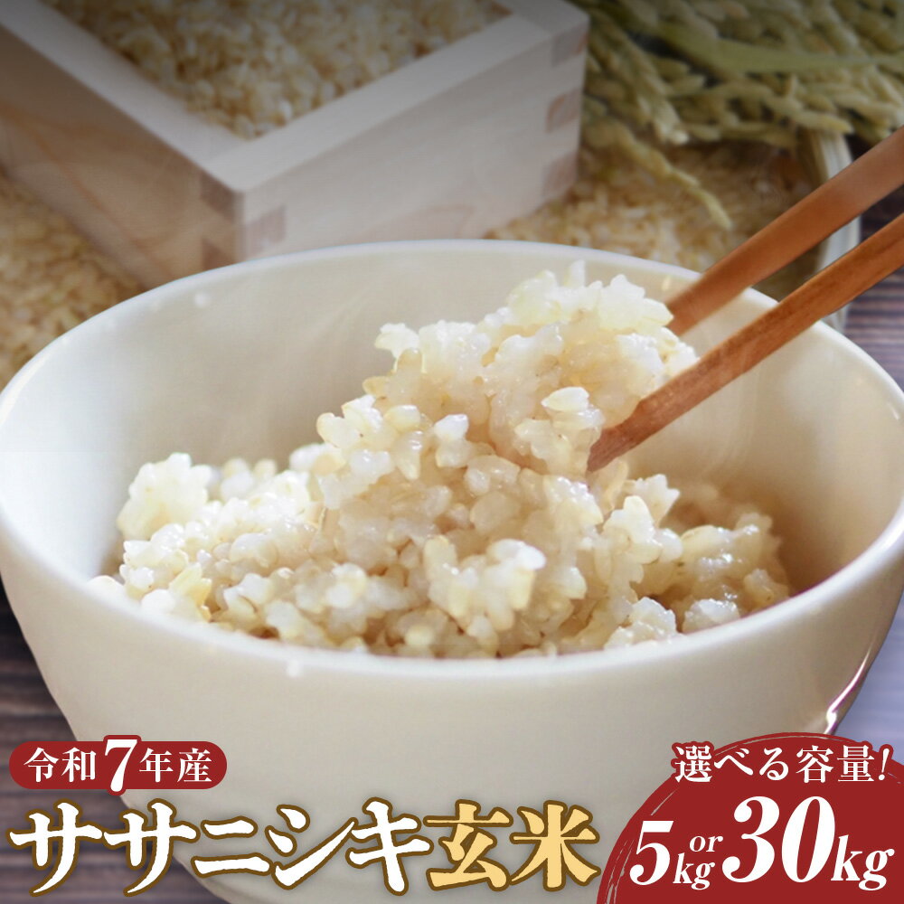 【ふるさと納税】令和7年度産 自然栽培米 ササニシキ 玄米 ＜選べる内容量＞ 5kg×1袋 / 30kg×1袋 農薬 化学肥料 不使用 米 お米 こめ ごはん ご飯 単一原料米 岐阜県産 国産 岐阜県 美濃加茂市 送料無料 【2025年10月下旬～2026年4月下旬発送予定】