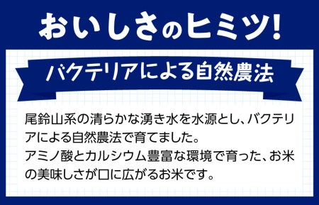 【 令和５年産 】 宮崎県産 こしひかり 「 シタギリ米 」 １０kg 【 米 お米 白米 精米 国産 宮崎県産 こしひかり おにぎり 】