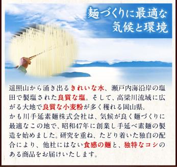 素麺 ソーメン 手延べ素麺 50g × 50束 2.5kg かも川手延素麺株式会社《30日以内に発送予定(土日祝除く)》---124_14_30d_23_20000_50---