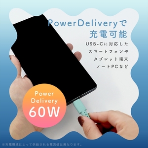 グラデーションケーブル USB-C to USB-C 60W iPhone16e 16 15 Android各種 iPad Macbook しなやか 絡まない 急速充電 PD60W データ転送 ケーブ