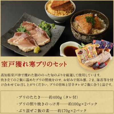 ふるさと納税 室戸市 室戸の海からの贈り物(年12回定期便) |  | 02