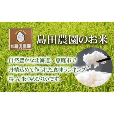 ふるさと納税 恵庭市 「恵庭産たつやのゆめぴりか」10kg(5kg×2袋)【56000102】 |  | 02