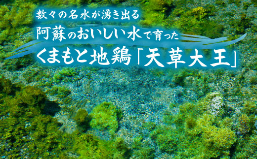 【JALふるさと納税限定】ご当地直行便　天草大王と阿蘇タカナード　くまもと地鶏 地鶏 肉 鶏肉 もも　人気 希少 貴重 美味しい ヘルシージューシー コラーゲン　高菜　農林水産省　優良ふるさと食品　 