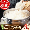 【ふるさと納税】泉水の米 こしひかり 3kg 白米 お米 ご飯 コシヒカリ 三次市/泉水ファームふくしま[APAJ001]