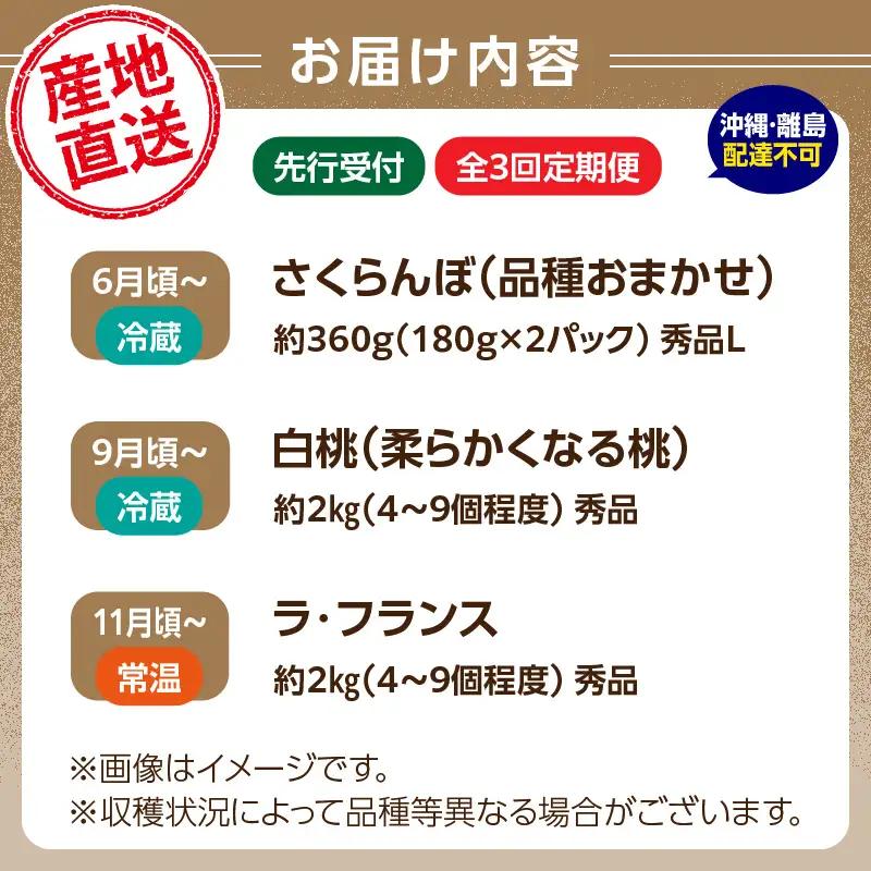 【発送月固定】山形旬彩！こだわりフルーツ定期便全３回Ｃ 063-T03
