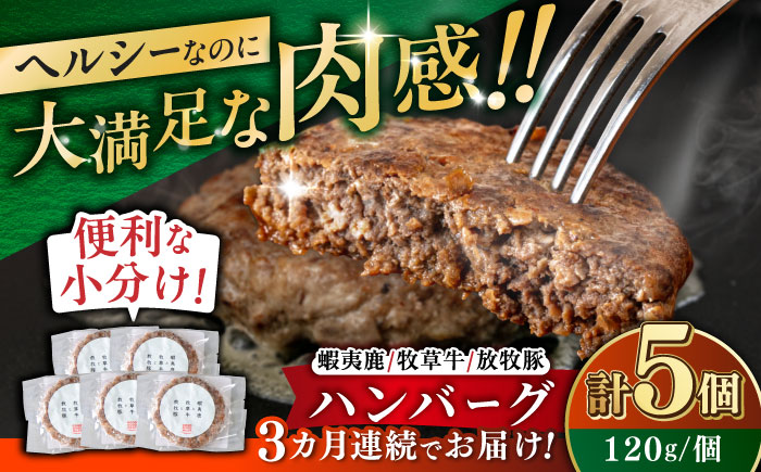 【全3回定期便】【蝦夷鹿×牧草牛×放牧豚】ハンバーグ 5個 《厚真町》【GOODGOOD株式会社】 ハンバーグ 鹿肉 牛肉 豚肉 小分け 冷凍配送 北海道 [AXBP019]