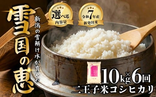 【定期便】令和7年産 コシヒカリ 10kg（5kg×2袋）×6ヶ月 60kg 数量限定 特別栽培米 二王子米 新潟産 新潟米 新発田産 新発田 お米 米 kome 白米 ご飯 こめ ごはん ライス ふるさと納税米 コシヒカリ お弁当 食品 せいだ とんとん市場 ブランド米 人気米 玄米 新潟県 新発田市 seida008_101