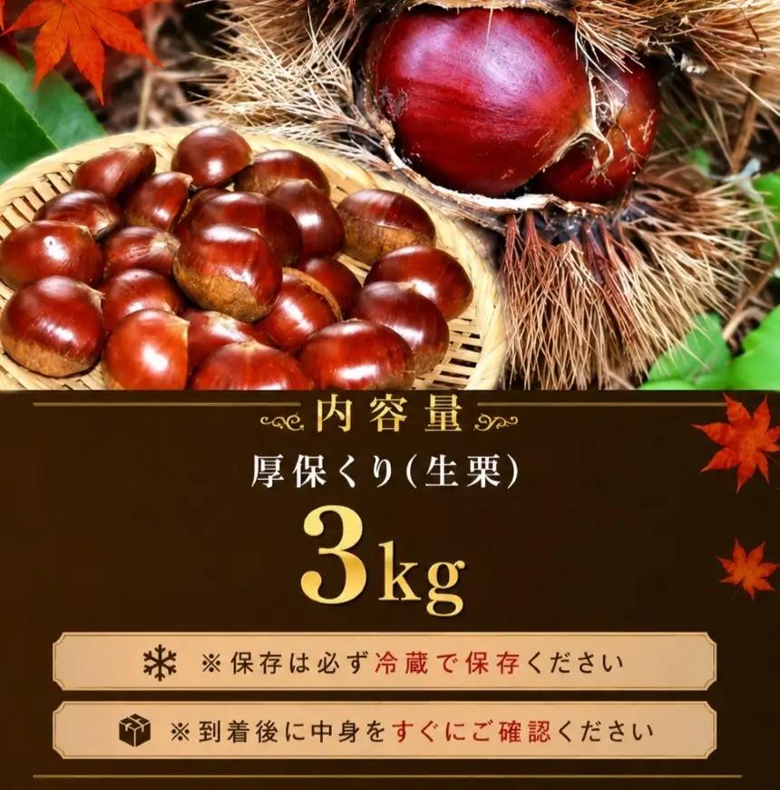 【先行予約】甘くて デカい ! 厚保くり ( 生栗 ) 3kg 山口美祢産 先行予約 ＜2026年10月上旬 ～ 11月中旬 発送予定＞