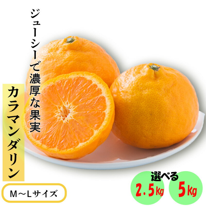 【ふるさと納税】 ★発送は4月下旬～★ カラマンダリン 2.5kg または 5kg（MからLサイズ）