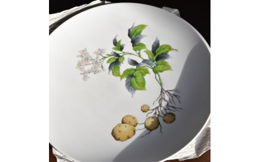 【伊万里焼】プレート 平皿 Potatoes φ29cm Plate H833_イメージ3