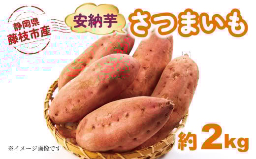 【2025年11月～順次発送予定】 さつまいも 安納芋 約2kg 期間限定 期間限定 サツマイモ 焼き芋 イモ 芋 いも 野菜 健康 やさい 人気 おすすめ 静岡県 藤枝市