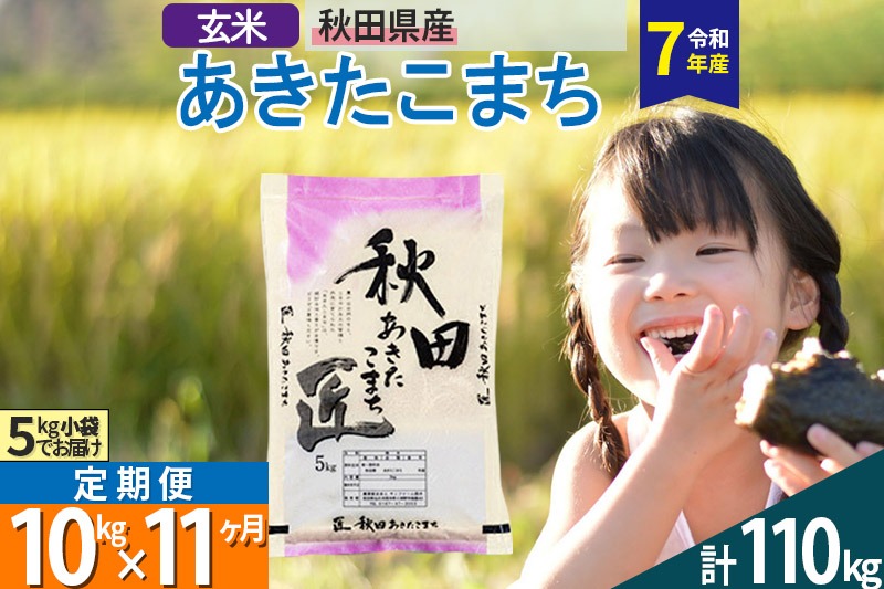【玄米】＜令和7年産＞ 《定期便11ヶ月》秋田県産 あきたこまち 匠 10kg (5kg×2袋)×11回 10キロ お米 |02_snk-020611s