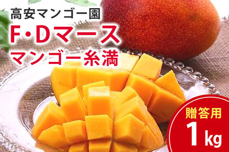 【 先行予約 2026年 発送 】 高安マンゴー園 贈答用 F・Dマースマンゴー糸満 1kg (2～3玉) 沖縄県産 マンゴー アップルマンゴー アーウィンマンゴー 完熟マンゴー 果物 くだもの フルーツ 沖縄 お取り寄せ ギフト 贈答品 産地直送 農家直送 糸満市 96-6