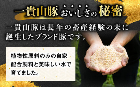 一貴山豚 バラスライス 計500g(250g×2p) 糸島市 / いきさん牧場 豚肉 冷凍[AGB040]