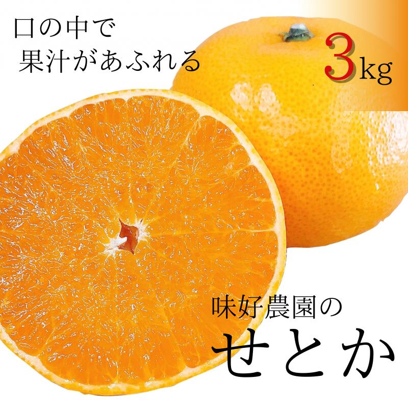 【ふるさと納税】 せとか 3kg 秀品 ╲地元で大人気 ! ／ 【M～2Lサイズ混合】【先行予約・数量限定】【2026年3月中旬から2026年3月下旬頃に順次発送】〈味好農園〉《 レビューキャンペーン 実施中 ! 》 /ミカン 柑橘 フルーツ くだもの 甘い ジューシー 果汁があふれる