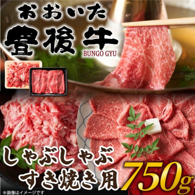 
            訳あり!おおいた豊後牛しゃぶしゃぶすき焼き750gセット(日出町)【1571279】
          