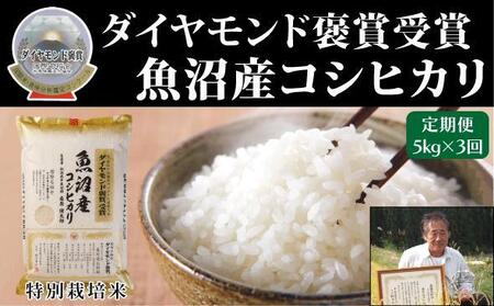 【令和7年産新米】【3ヶ月定期便】最高級魚沼産こしひかり 5kg（5kg ×1袋）コシヒカリ コシヒカリ コシヒカリ コシヒカリ コシヒカリ