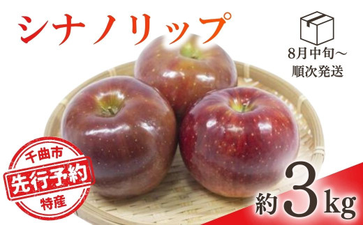【2025年先行予約】りんご シナノリップ(長野県オリジナル品種) 約3kg 林檎  千曲市 長野県産 信州