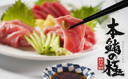 国産 本鮪 本まぐろ 生 本まぐろ