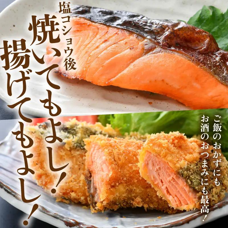 ふくいサーモン切り身 600g  (100g×6切) ＜鮮度抜群！＞ ／サーモン 鮭 [aw002-b003]