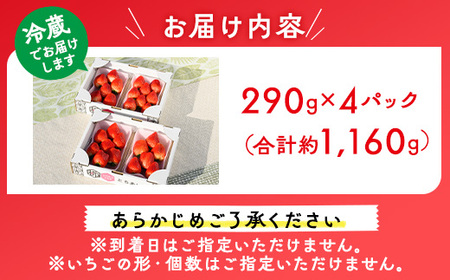 いちご（とちあいか） 290g×4パック 1.16kg以上｜先行予約 数量限定 栃木県 果物 くだもの フルーツ 苺 イチゴ ※2024年11月下旬頃～2025年3月下旬頃に順次発送予定