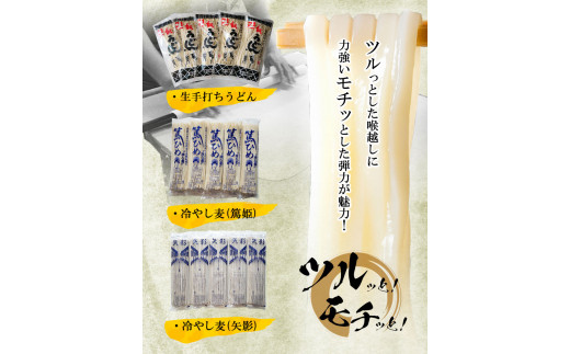 53. こだわりの麺詰合せセット《30日以内に出荷予定(土日祝除く)》岡山県矢掛町 麺 渡辺製?所