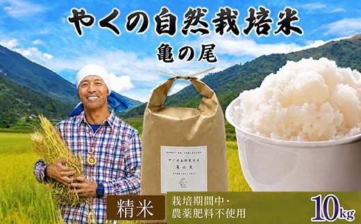 ＜令和8年産・先行予約＞やくの自然栽培米 亀の尾 (白米・10kg) 【fc-EV004-F】【ゆたか（ゆたか自然農園）】