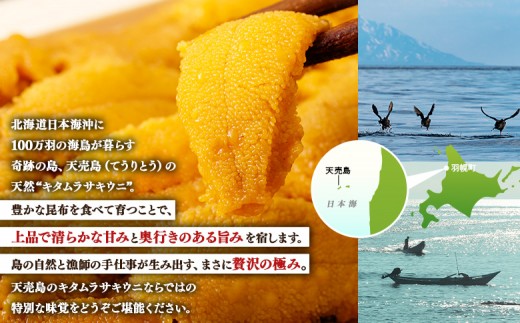 【北海道 天売島産】  天然 キタムラサキうに 塩水パック 100g×1パック