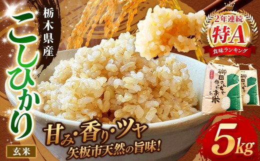 矢板市特別栽培米 お米 こしひかり 玄米 5kg |栃木県 矢板市