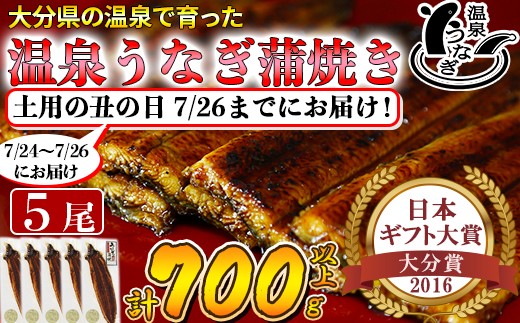 
                  土用の丑 までに（7/24～7/26）お届け 完全無投薬養殖 温泉うなぎ蒲焼 5尾 （140gサイズ）【大分水産】国産 食べきり 個包装 小分け 冷凍 レンチン 真空 贈答 ギフト 受賞 美味しい 蒲焼き かば焼き かばやき おすすめ 惣菜 ランキング うなぎ ウナギ 鰻 うな丼 うな重 うなどん うなじゅう 海鮮 国産 九州 大分県 スタミナ 夏バテ 丑の日 土用の丑の日 ＜104-062＞
                