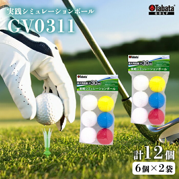 【ふるさと納税】タバタ Tabata ソフトボール[GV0311]　2個セット ゴルフ ゴルフ用品 練習用ボール 実践シミュレーションボール スポーツ 茨城県 送料無料 5000円 五千円 【テンポイント（株）】 【ho1630】