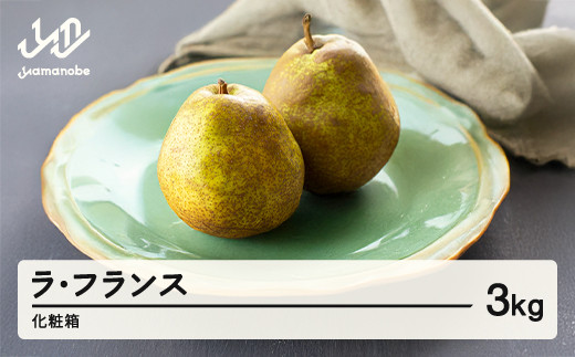 
                  ラ・フランス 化粧箱 3kg 令和7年産 2025年産 山形県産 ラフランス 果物 ※沖縄・離島への配送不可 ns-laxxx3	
                