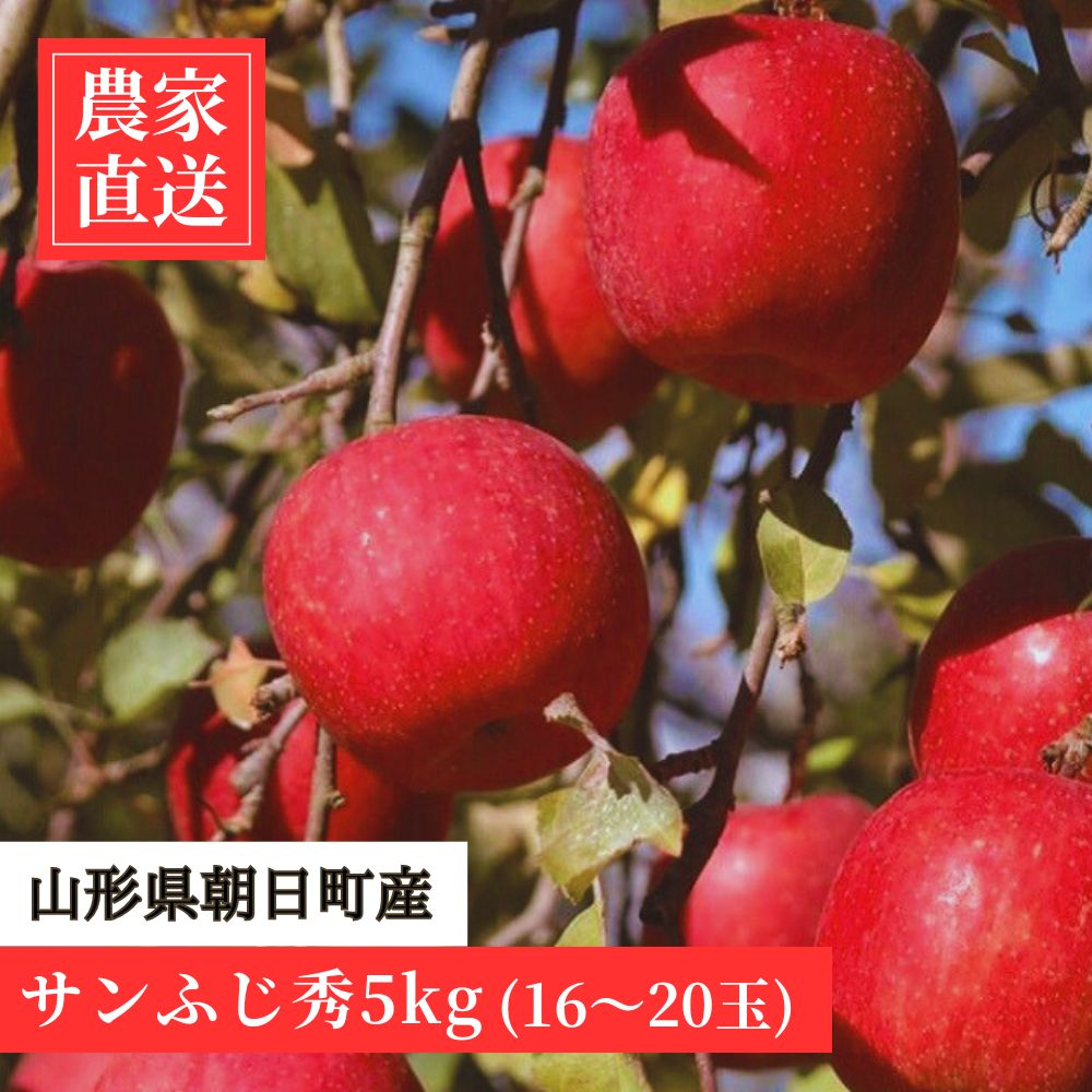 【ふるさと納税】＜ 先行予約 ＞ りんご サンふじ 秀 5kg 16～20玉 農家直送 山形県 朝日町産 山形県産 特産 果物 フルーツ リンゴ 林檎 産地直送 秋 冬 送料無料
