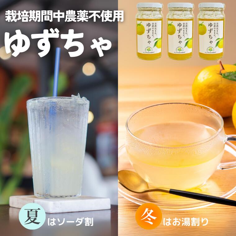 【ふるさと納税】楽しみ方いろいろ! 「ゆずの里上之保」 ゆずちゃ　3個 お湯割り ソーダ割り ジャムとしても使える 〜栽培期間中農薬不使用の上之保産柚子を使用 自家栽培 ゆず茶 国産 柚子 ユズ フルーツ 果物 常温 くだもの 飲み物 ドリンク 果肉 果汁